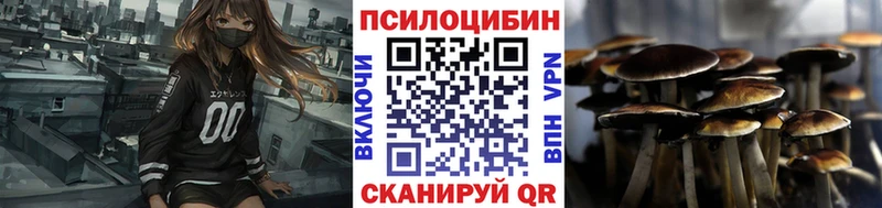 Галлюциногенные грибы Psilocybine cubensis  Купить  Урай 